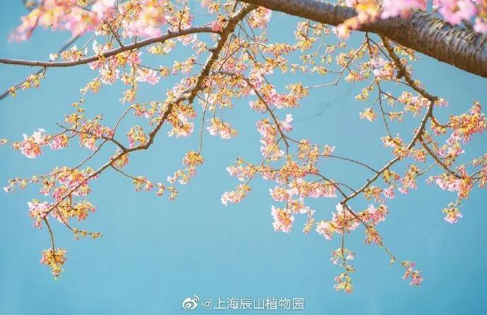 所有女生！各大品牌的春季眼影盘来咯