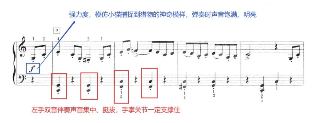 考级详解|央院《猫主题》考点全解析！