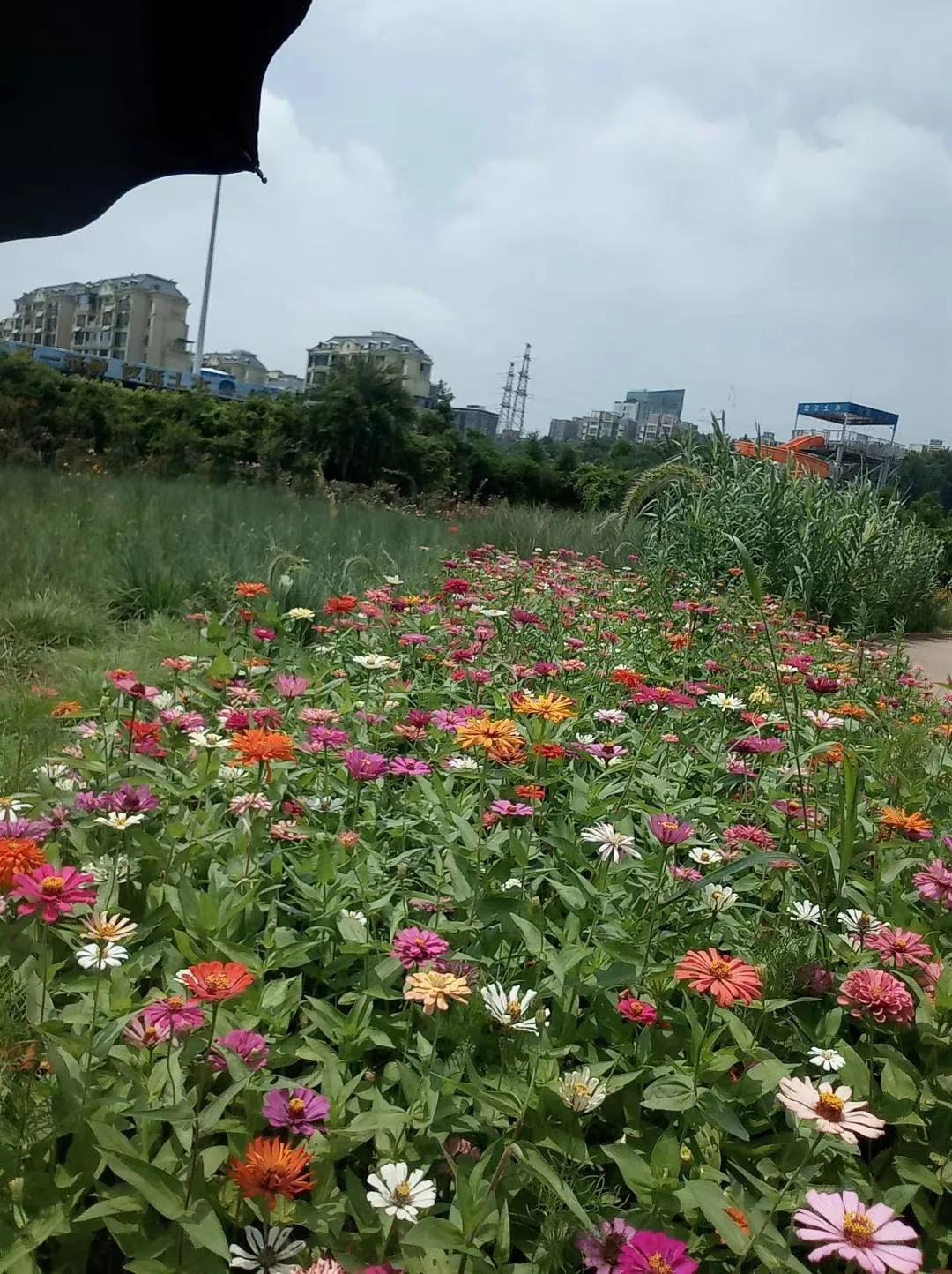 一定要带孩子去这几个城市走走,一生中一定要带孩子去的五个城市