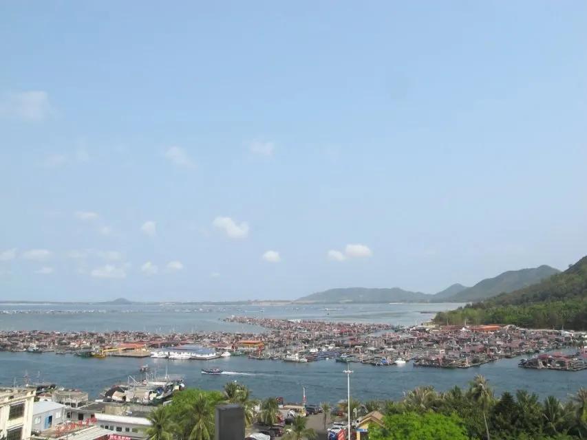 开海季都有什么海鲜,开海了这些生猛海鲜