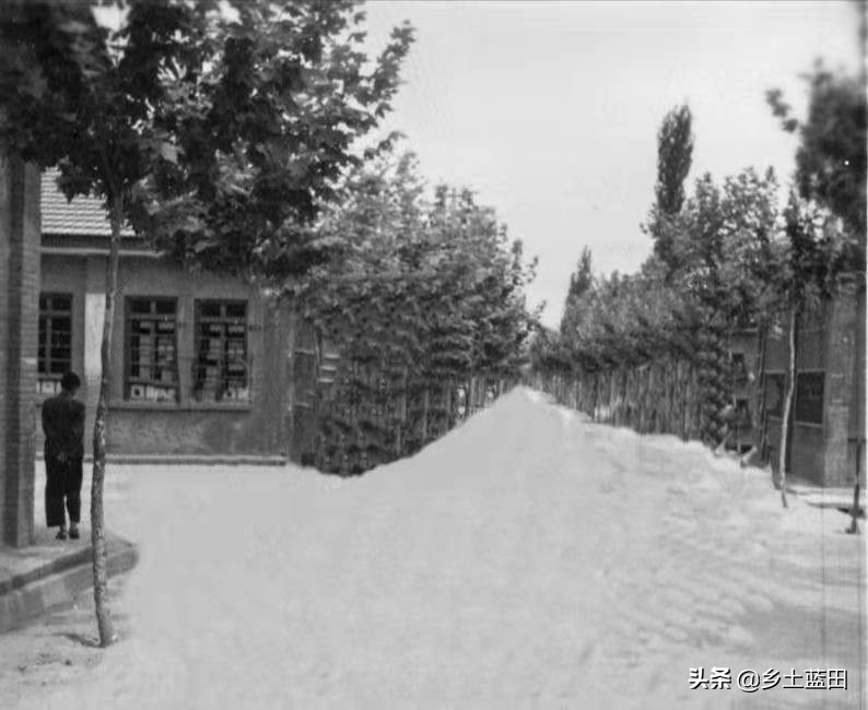 韩鹏飞｜|蓝田城关中学赋（修订版）