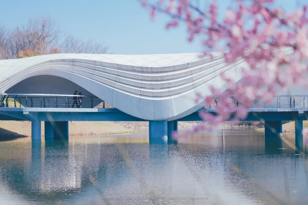 南京赏梅花的绝佳位置,南京赏梅花的最佳地方