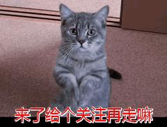 百慕大群岛英国,百慕大群岛是哪个国家的领地