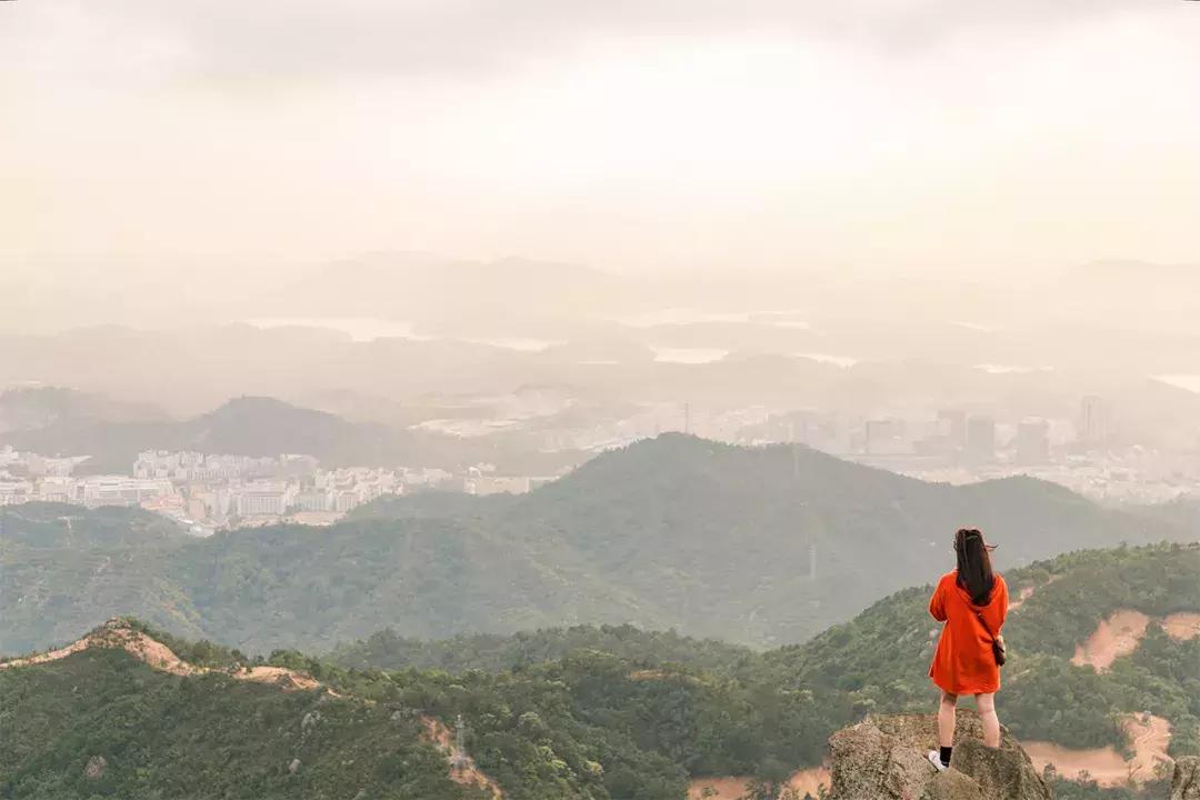 深圳十大一日游景点,深圳十大免费公园景点大全