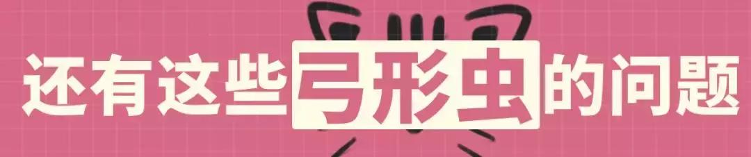 怀孕了还是想养猫猫狗狗怎么办？华西行家：能够养，但绝不能随便养！