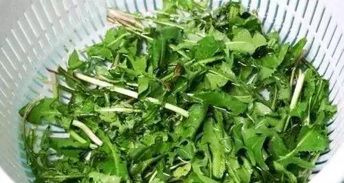 3斤枸杞不如1两它，天然青霉素,每天喝一杯，抵抗力强10倍