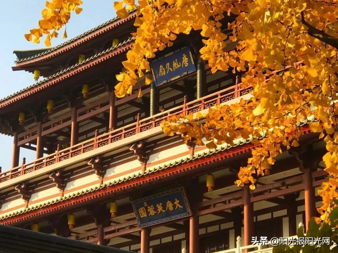 从一首小诗开始阅读今天的导游词…︱#新西安新名片征文选登,32