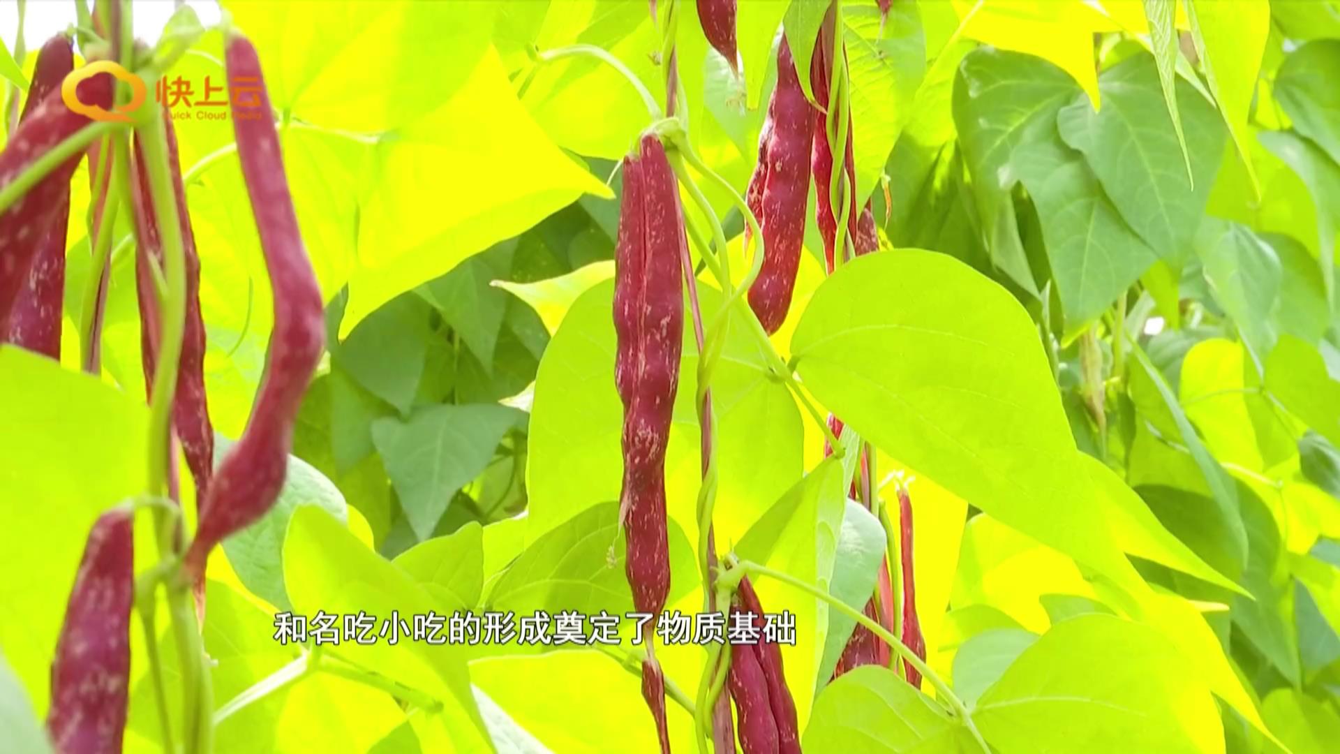 潍坊名小吃：舌尖上的潍坊记忆