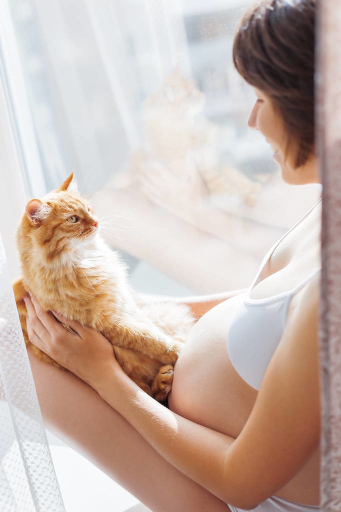 养猫怀孕感染弓形虫几率高么,怀孕了养猫怎么样才能感染弓形虫