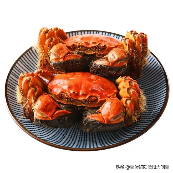 七夕将至，还没想好吃什么？不如试试蟹传奇大螃蟹