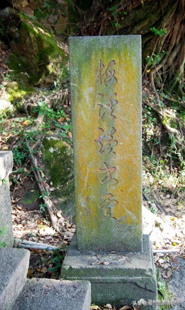 温州江心屿视频,游温州江心屿