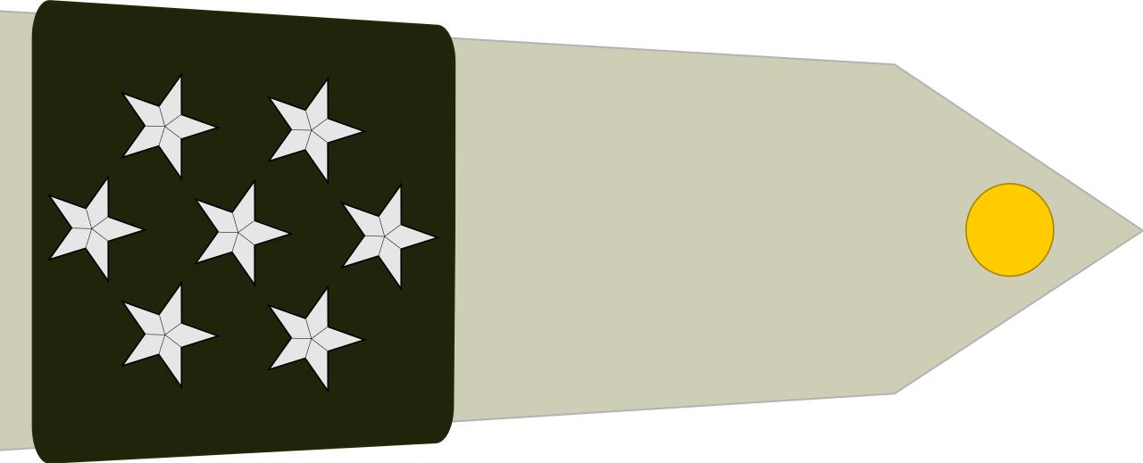 法国将军军衔等级,法国上校是什么军衔