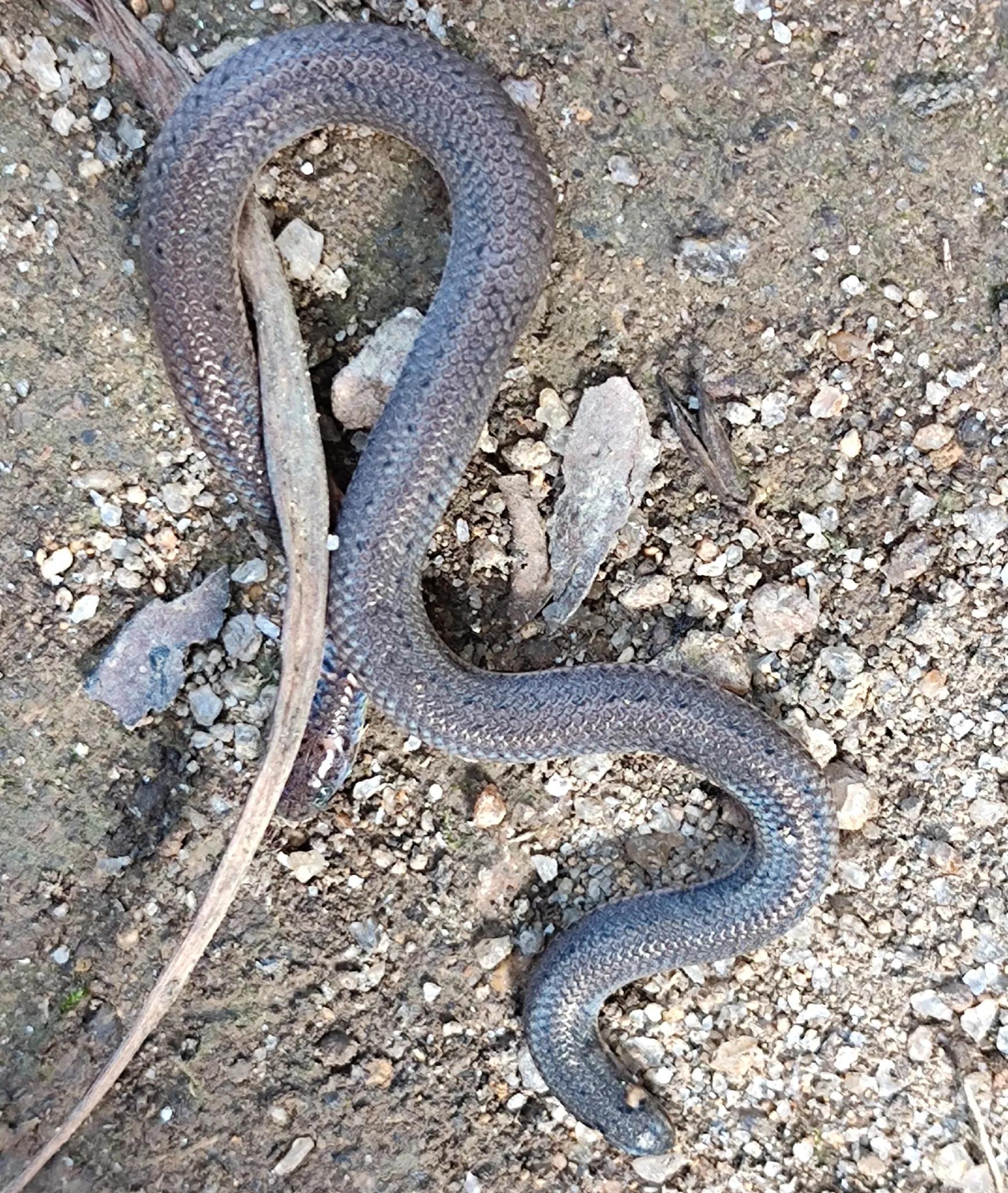 独行大云雾山——劫后余生，还有什么可惧