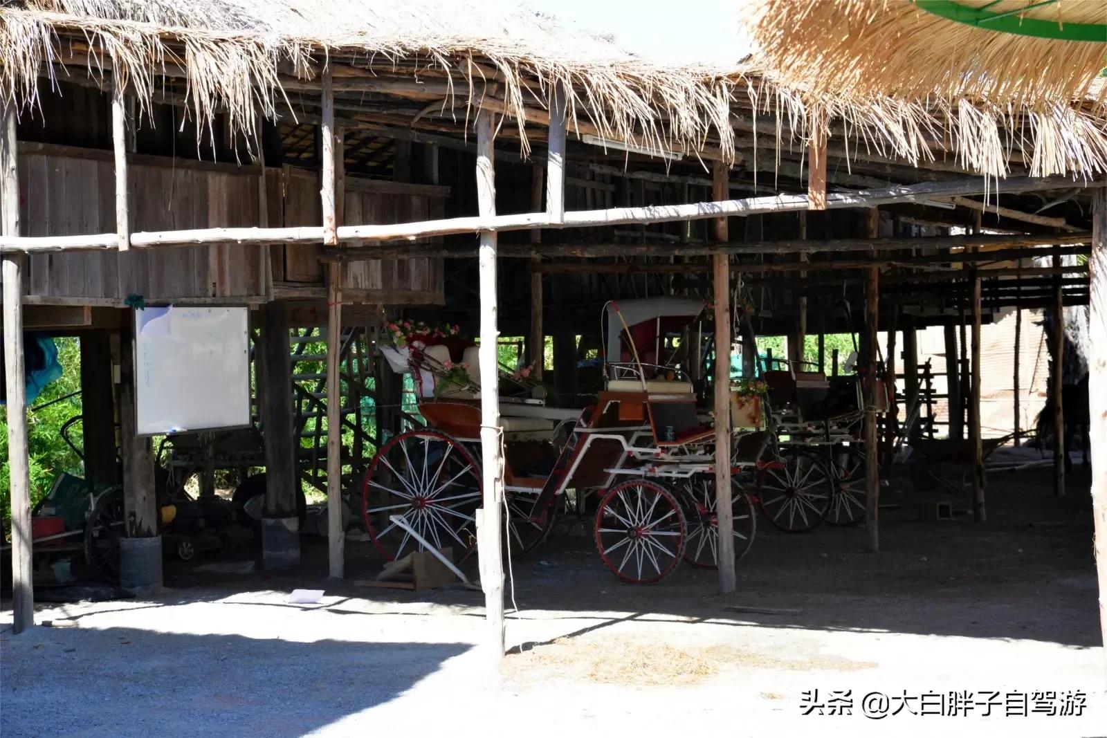 泰国风情之旅完全版,泰国风情记