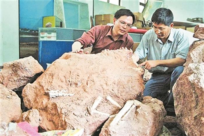 中国最著名的恐龙是什么恐龙,在中国发现的肉食恐龙有哪些