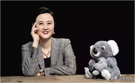 加州宝宝网易考拉,网易考拉入驻条件