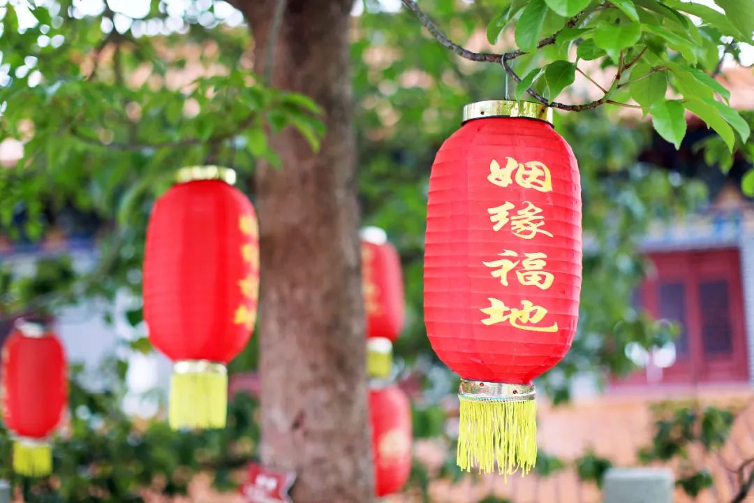 超灵验的姻缘福地！离广州深圳不到一小时，踏青赏花祈福康养首选