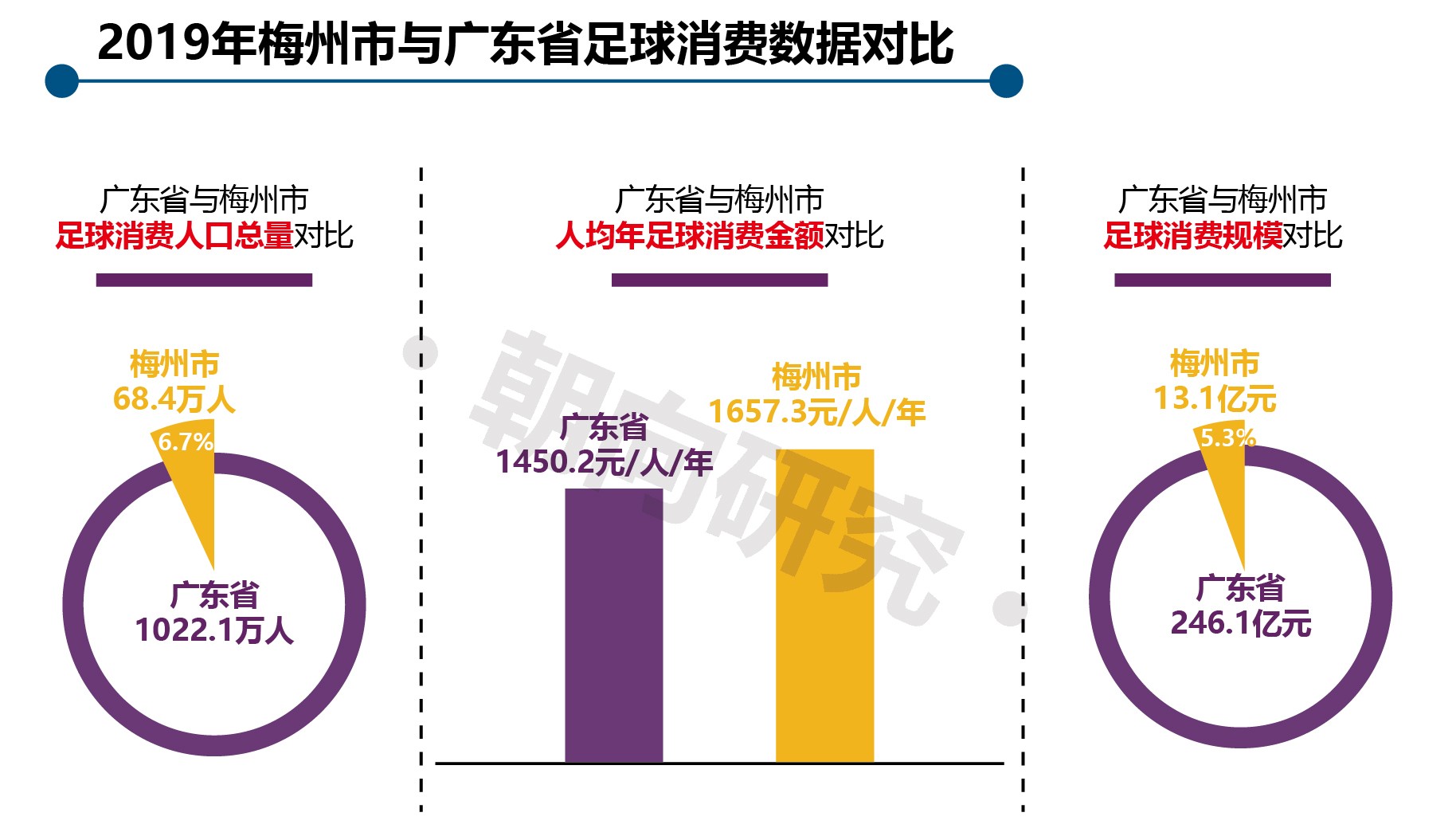 中国足球发展现状分析报告,梅州足球发展前景