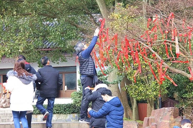 穹窿山风景区：金猪绘新春年味快乐过传统新年！