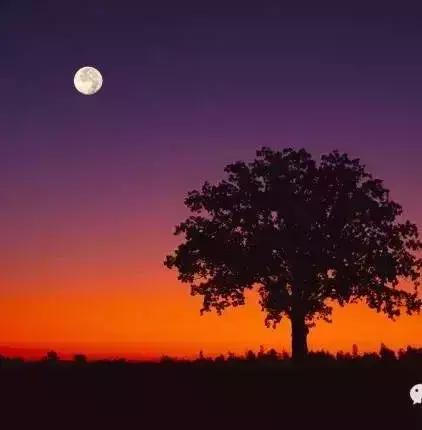 女儿国国王朱琳演唱女儿情完全版,女儿国朱琳朗诵致橡树