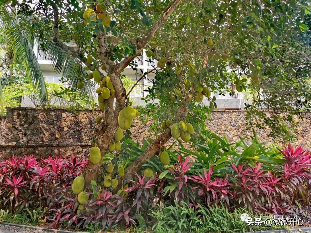 这三家酒店最合适企业商旅的需求