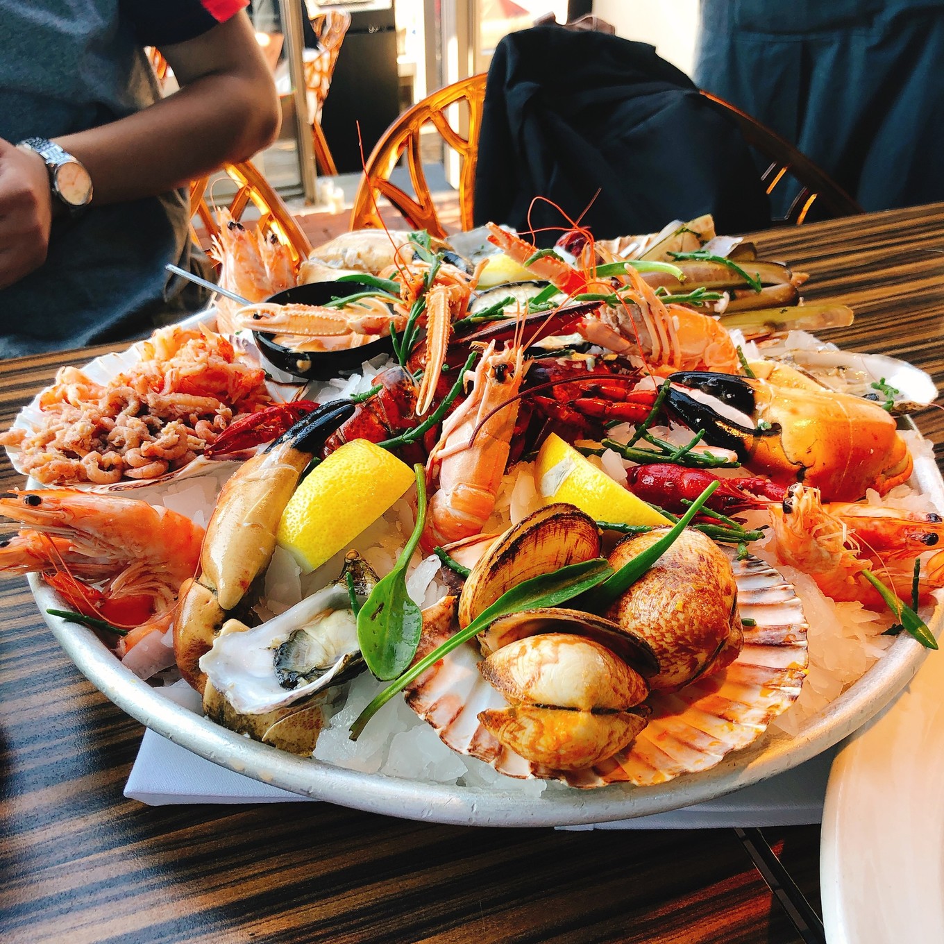 荷兰郁金香一日游攻略,荷兰郁金香旅游