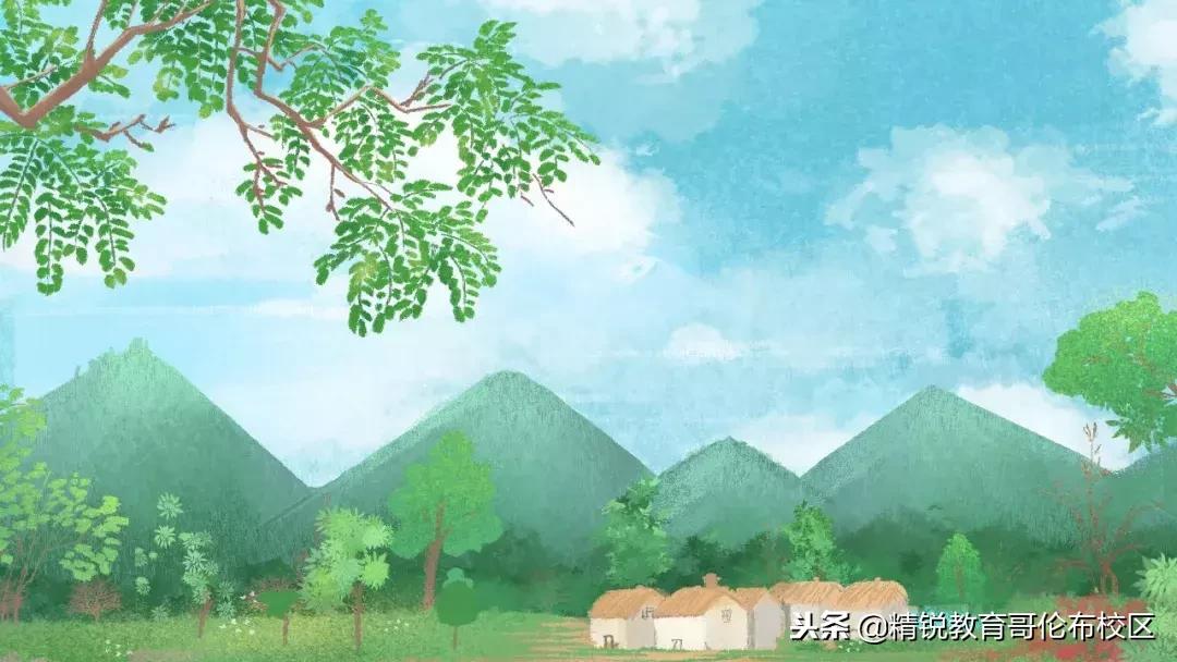 小学修辞手法句子类型知识点总结,小学带修辞手法的阅读理解例文