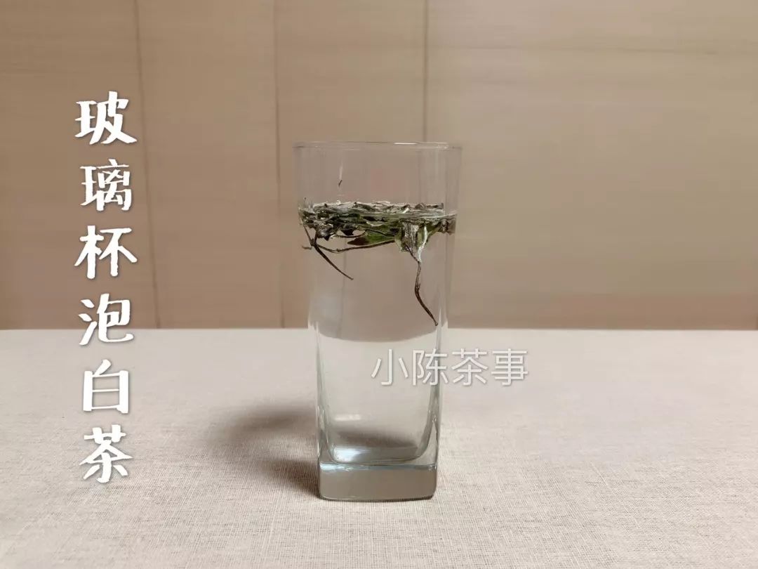 盖碗冲泡白茶的投茶量,白茶紧压白茶冲泡方法图解