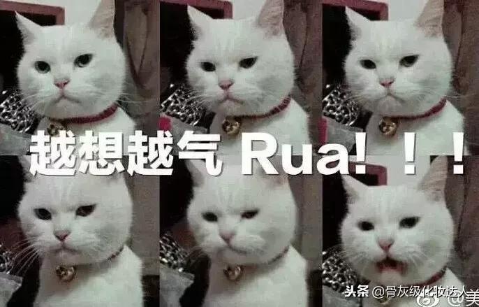 拔草清单｜看看是哪些不好用的家伙伤害了我的钱包！