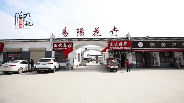 商丘花鸟批发基地,商丘花鸟市场地址