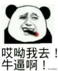强迫症凤眼菩提,玉化星月盘玩后的效果