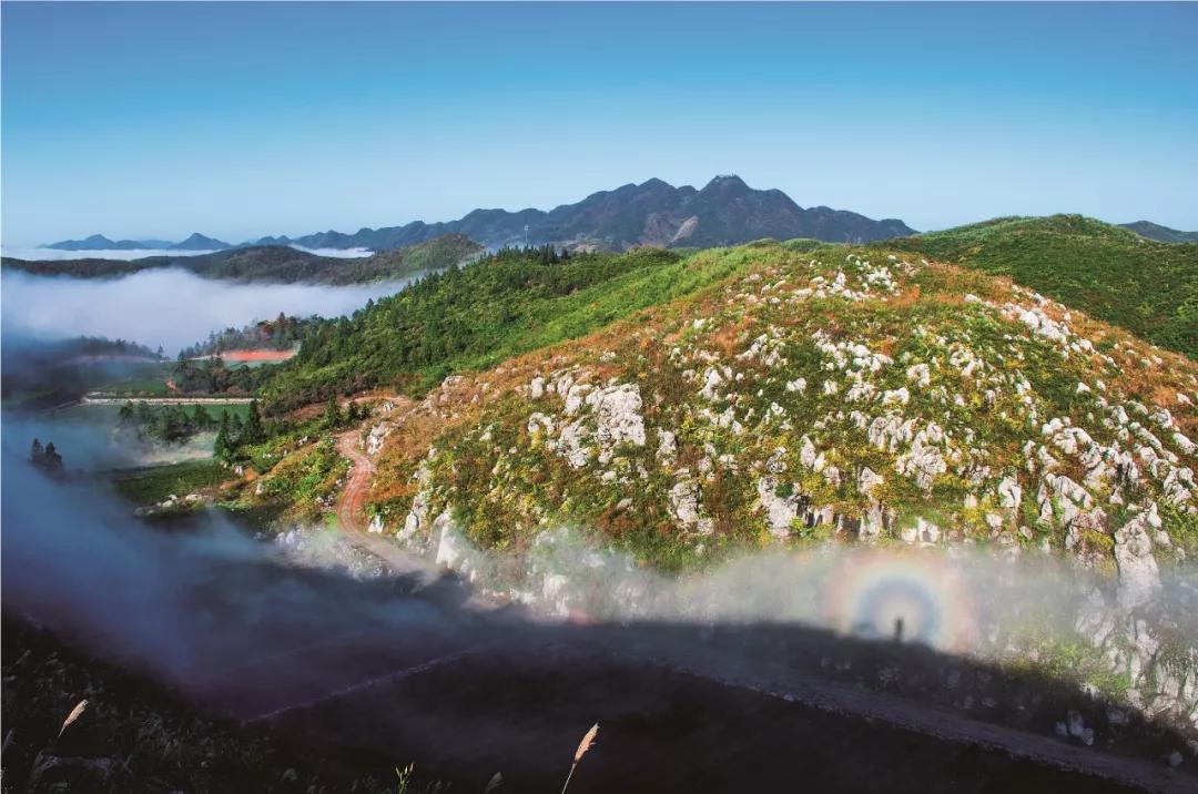 蔡华建的文章稻草人,蔡华建徐闻
