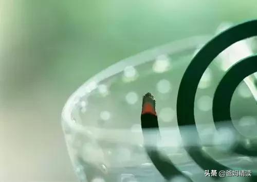 孩子被蚊子叮咬半夜起来怎么办,六岁孩子被蚊子叮咬头部红肿