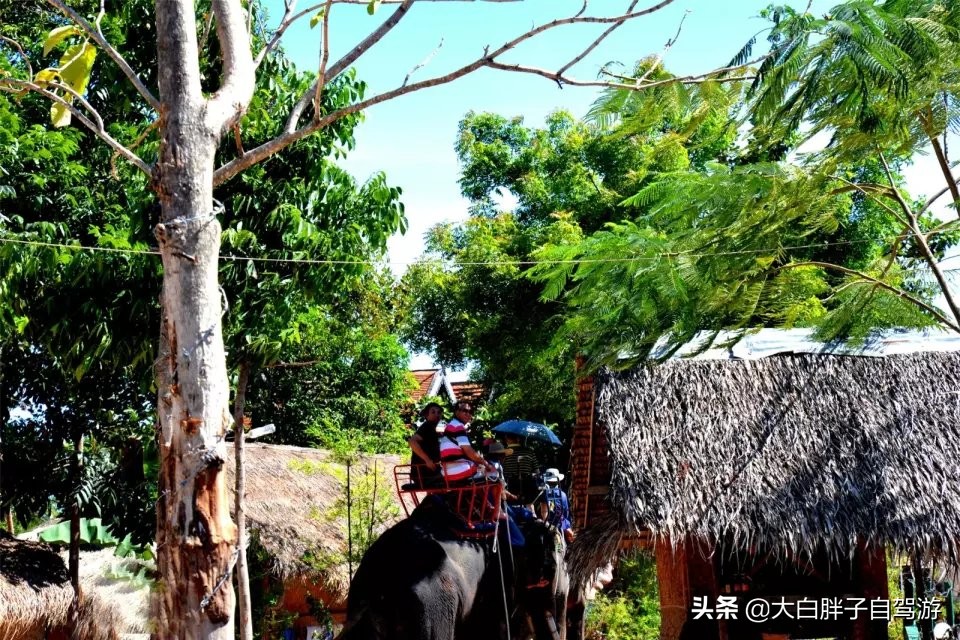 泰国风情之旅完全版,泰国风情记