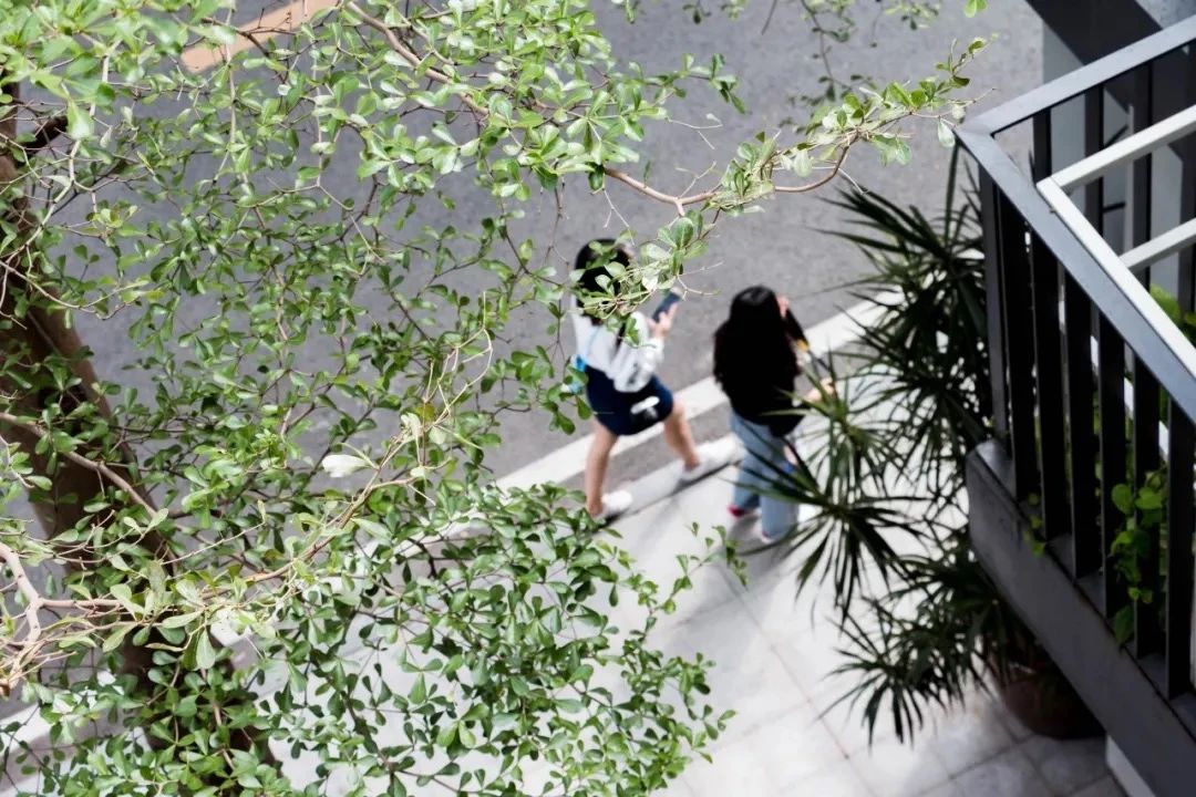 深圳10大旅游好去处,深圳盐田区周末休闲浪漫好去处