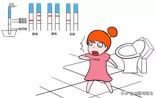 b超监测排卵怀孕告捷率有多少,17号排卵几号做b超能查出怀孕