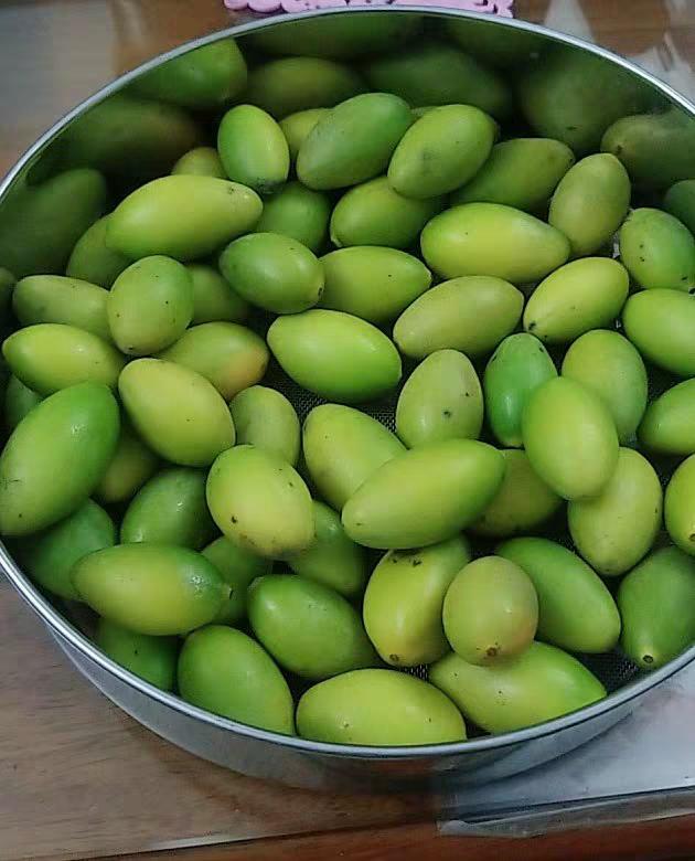 宝宝咳嗽吃什么水果排痰止咳,止咳化痰最快的水果用哪种梨好