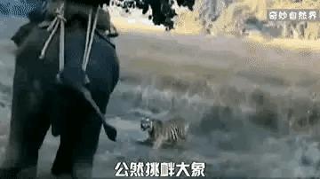 为什么加油站要24小时上班,为什么加油站一个工资1800