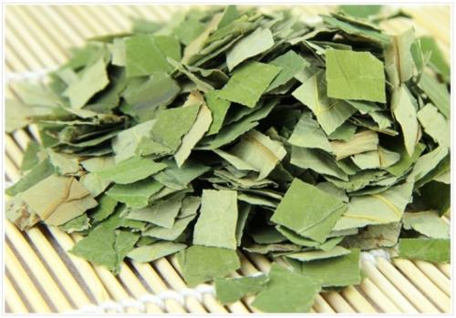 常喝荷叶茶能消脂肪吗,荷叶茶对降血脂有帮助吗