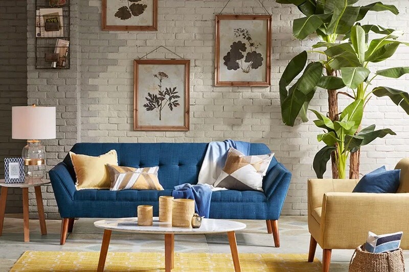 放一屋子绿植除甲醛有用吗,多放绿植能够除甲醛吗