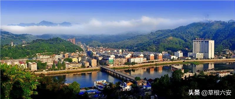 谢谢你来了全集,谢谢你医生