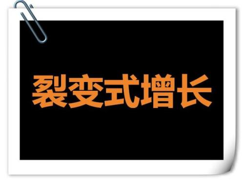 裂变营销的运营方式,裂变营销的100个方法