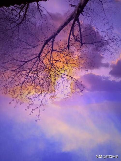 期货高手心得体会,期货高手交易心得分析报告