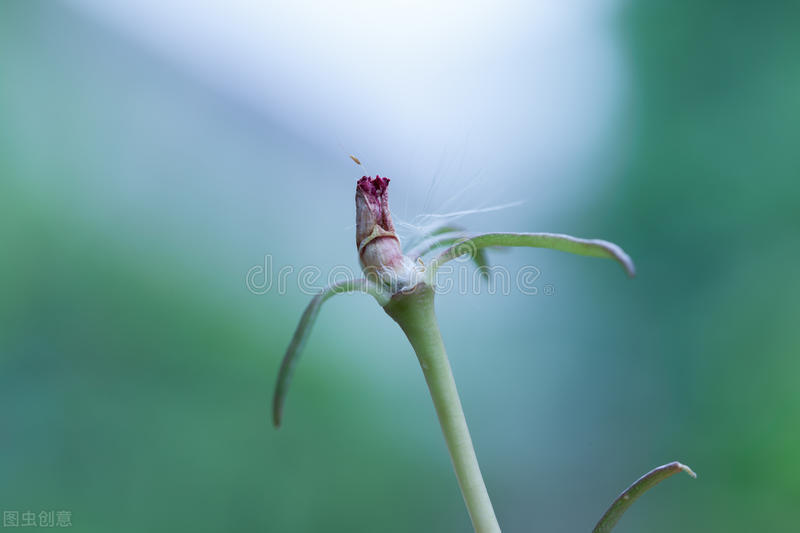 鍊氱獥鍚鎬濋煻鍗庨潤鏁版祦骞村叆鐑熼湠,鏃跺厜婕嵎宀佹湀鐣欓