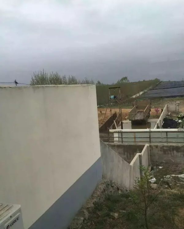 《抗非瘟战略如何布置，分期治疗是要害》——深度剖析