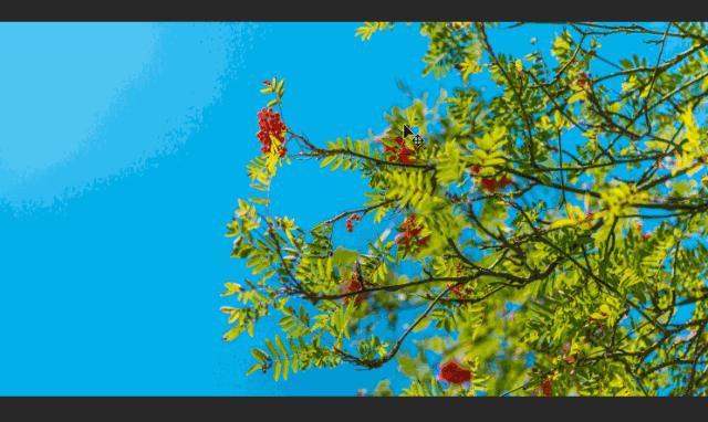 ps抠图头像最快又完全的方法,ps抠图最简单最快的方法