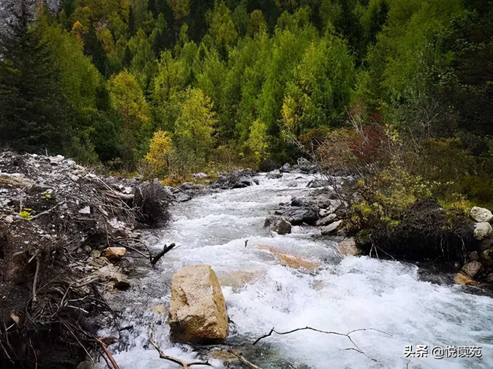 李卫群：你好，洛南三要