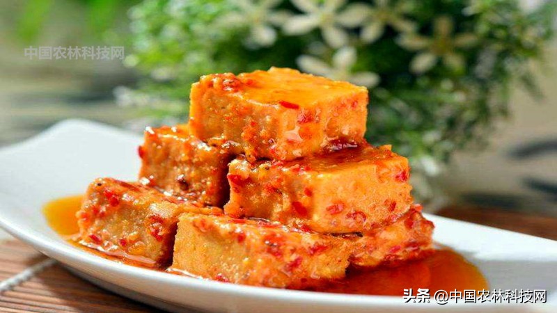 江上琼阁石宝寨！一县一品公益助农，重庆忠县农特产品柑橘