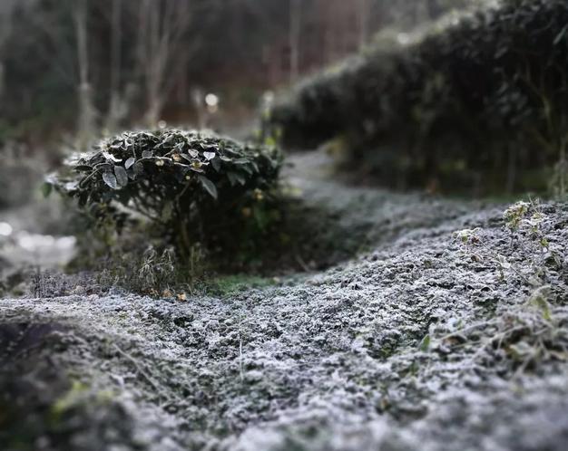 大红袍的正确泡法,大红袍有哪些冲泡方法和步骤