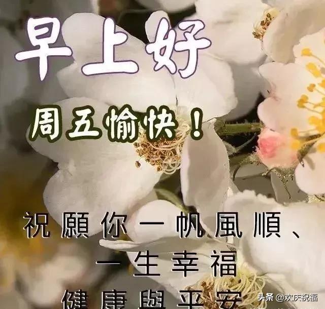 春天清晨问候语早上好最新图片,早上好走向春天健康平安的图片